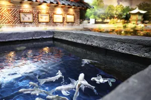 코엑스 아쿠아리움의 흰날개비단잉어