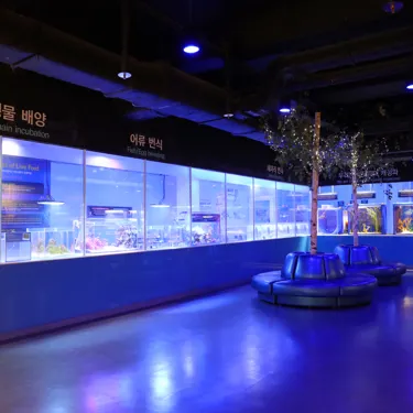 마린터치 연구소