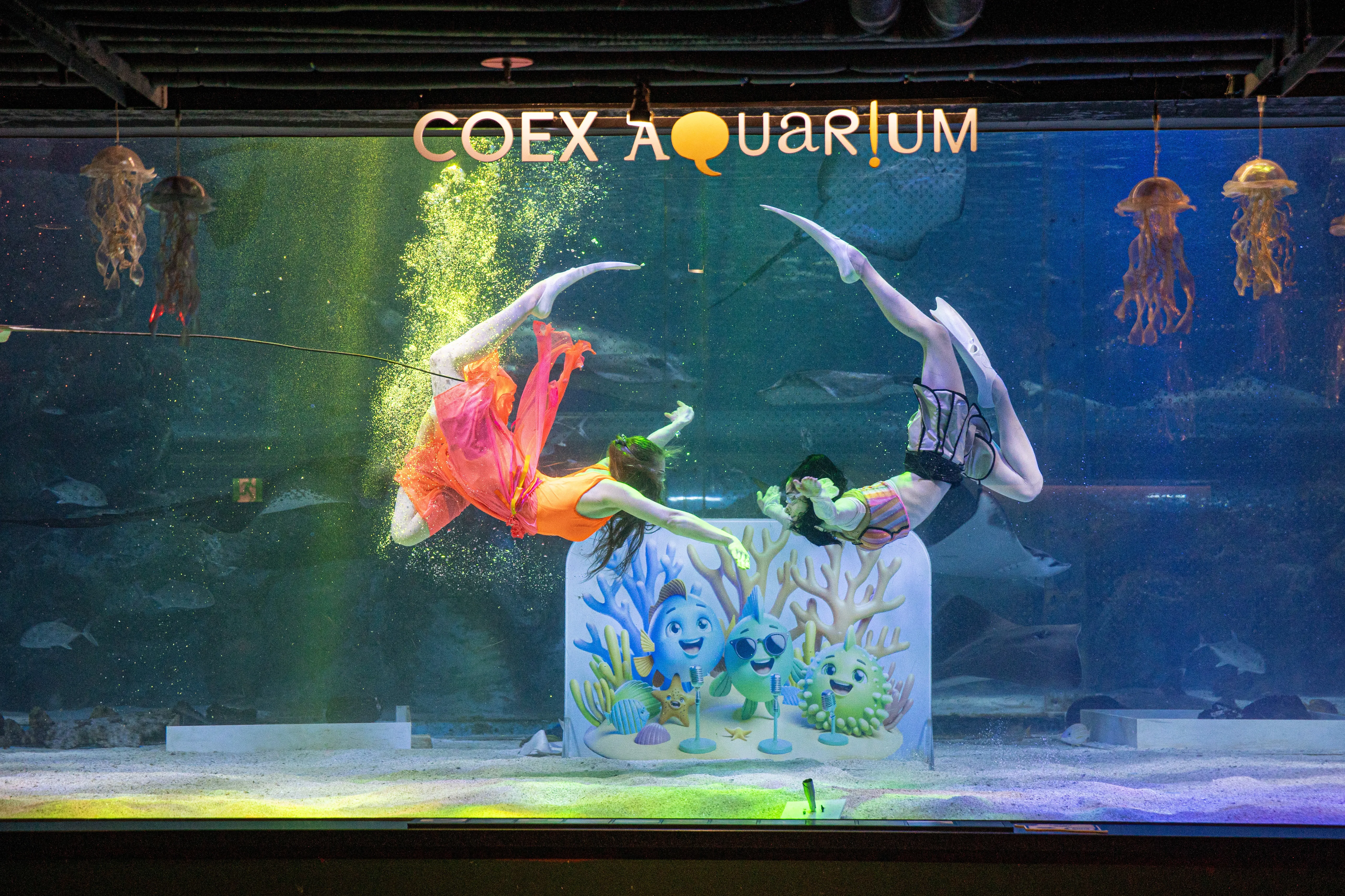 코엑스아쿠아리움197