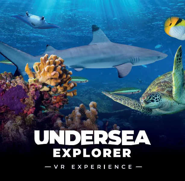 VR