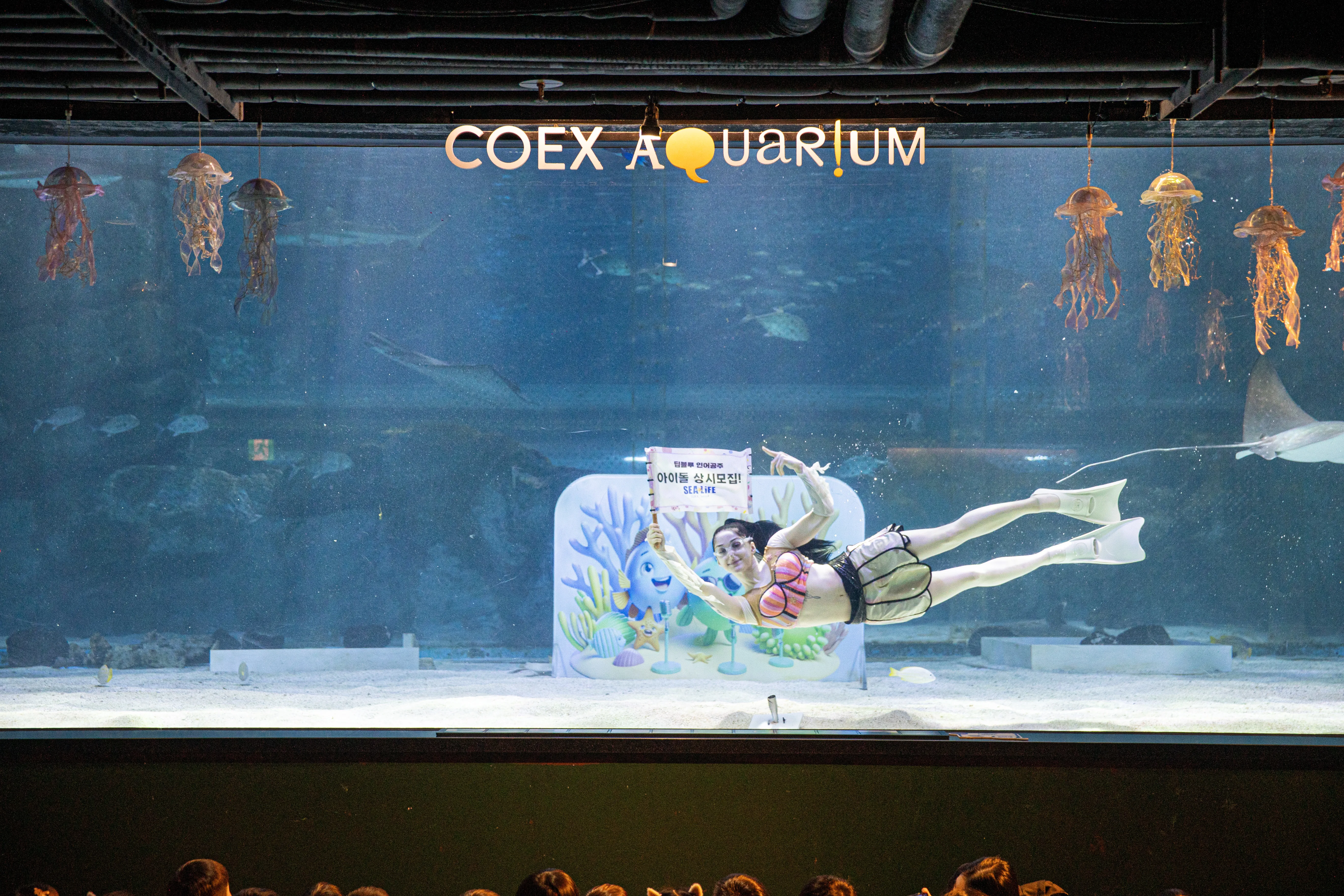 코엑스아쿠아리움170