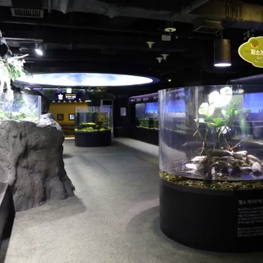 우리터우리물고기