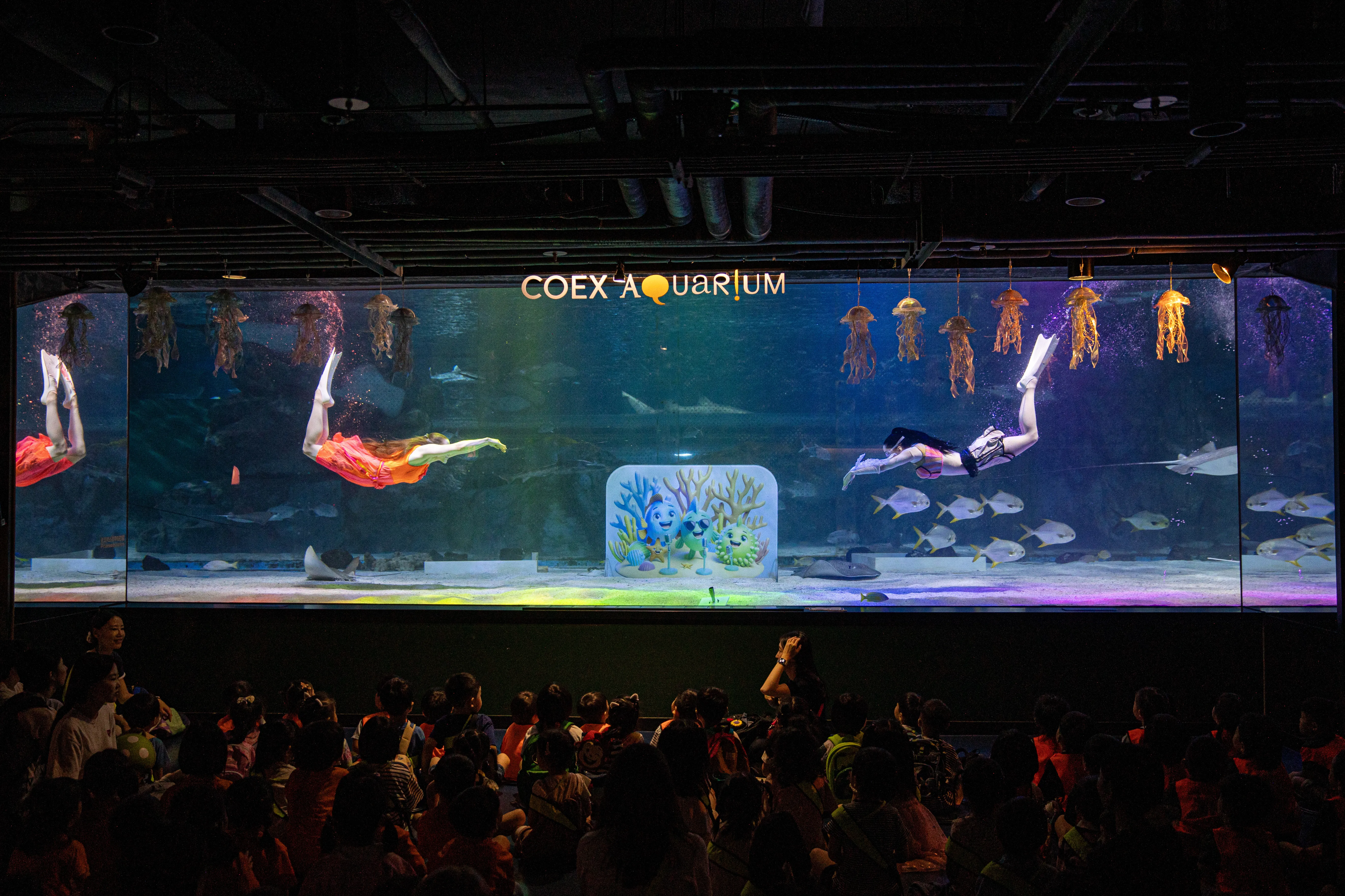 코엑스아쿠아리움185