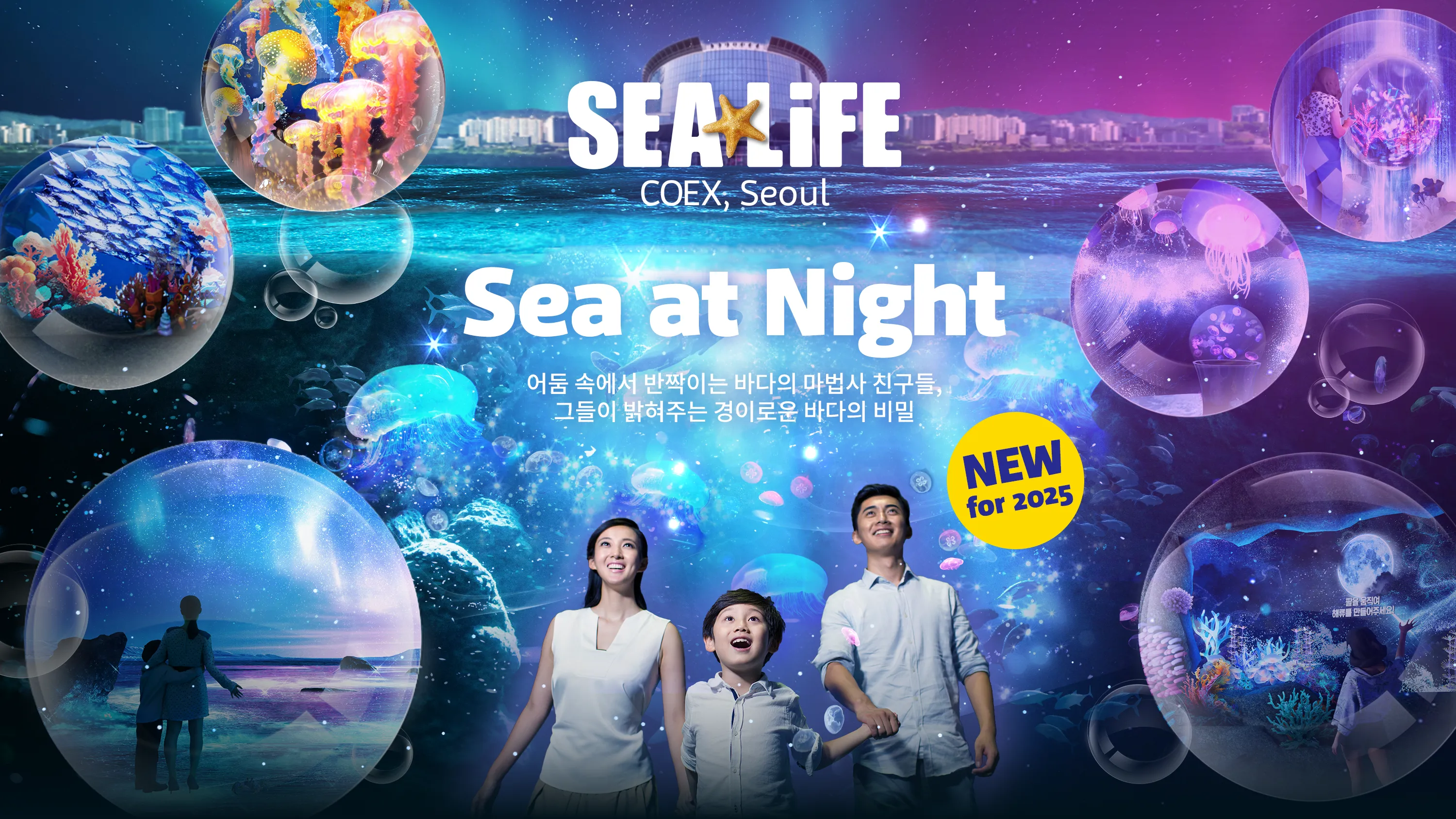 Seaatnight KV Option2 Final