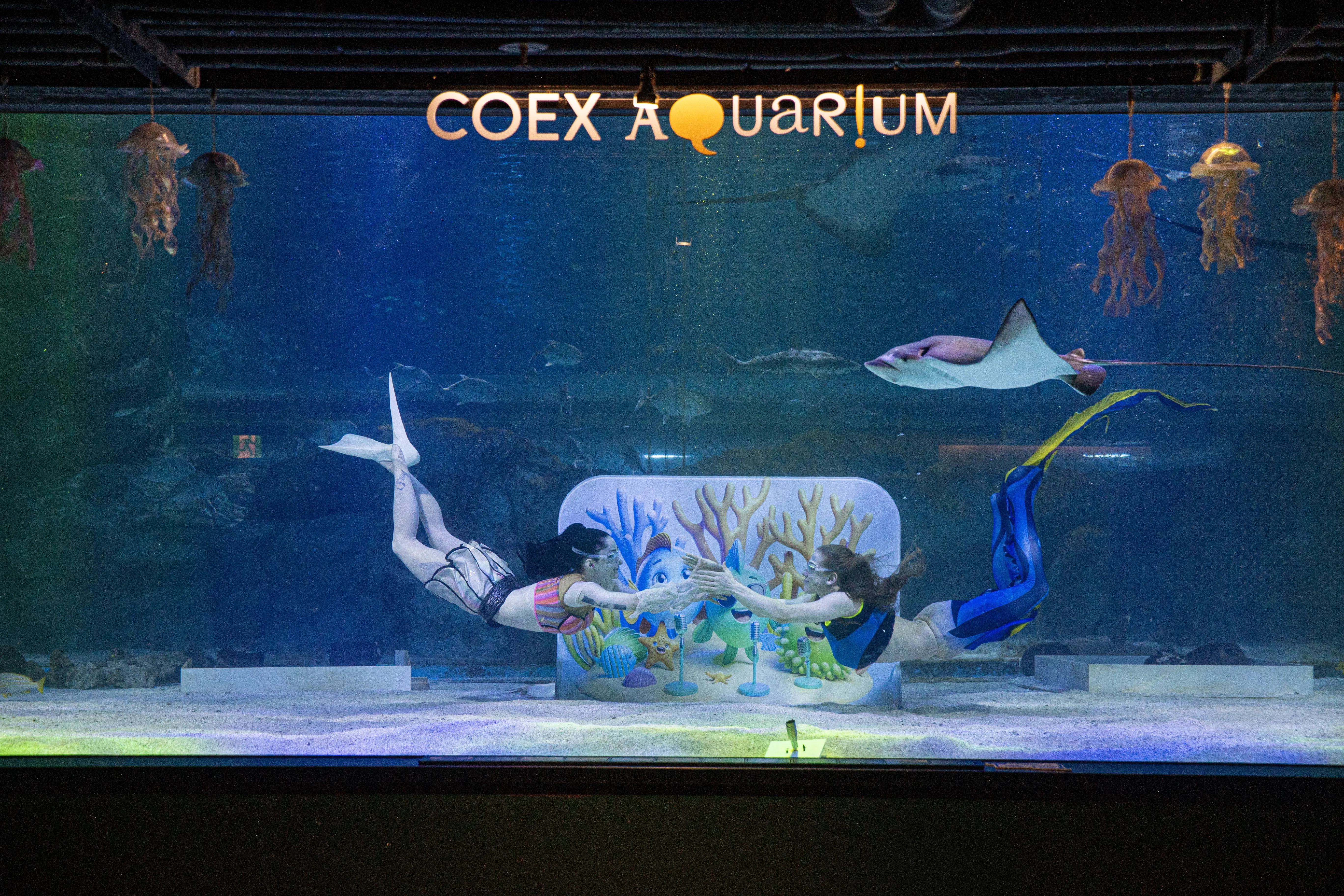 코엑스아쿠아리움177