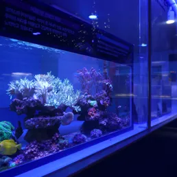 마린터치 연구소