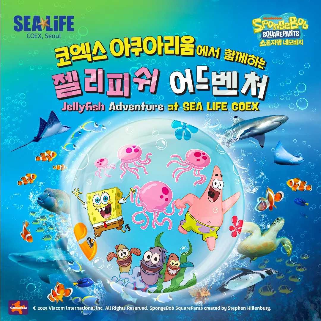 SBSP 카드뉴스 00 KV