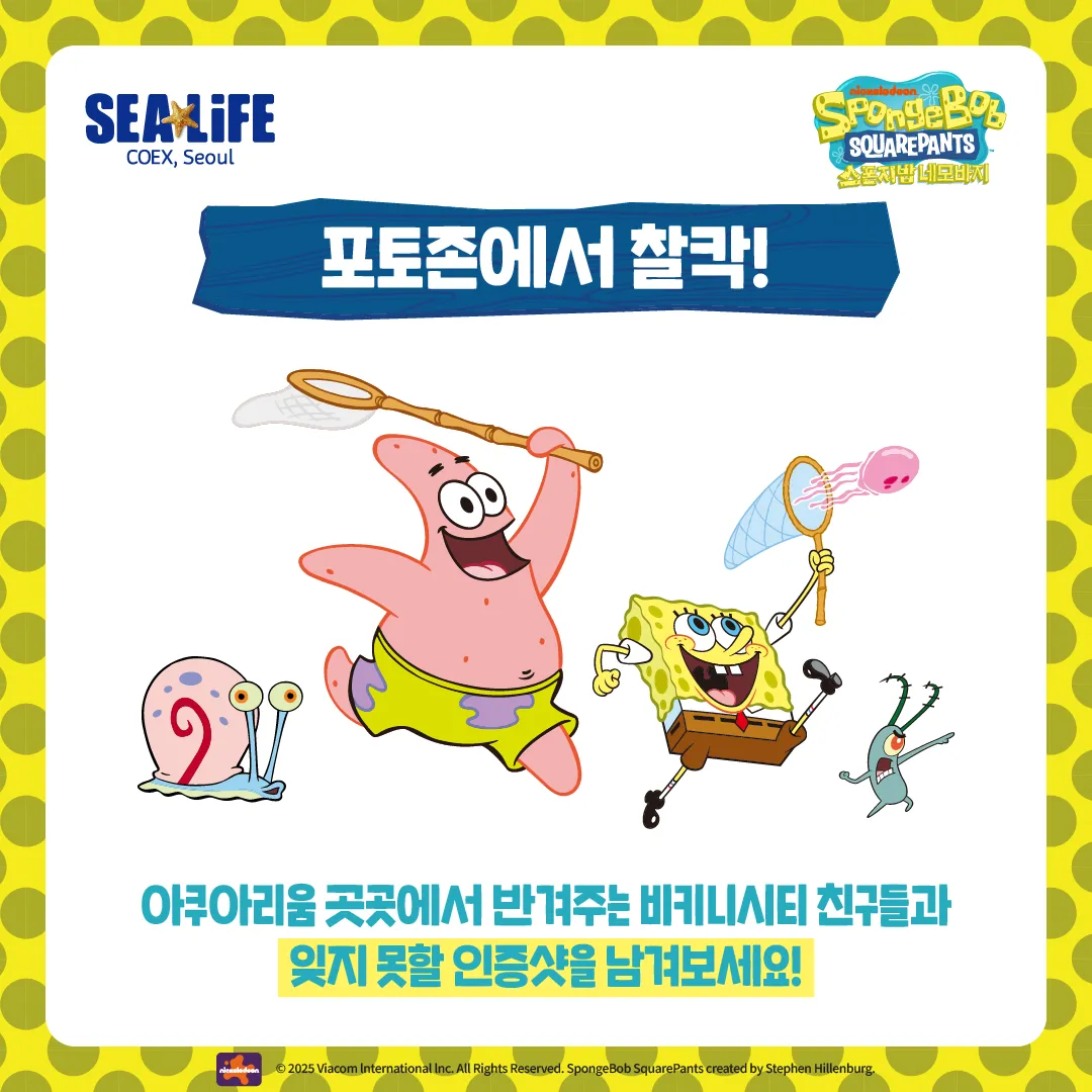 SBSP 카드뉴스 01 포토존