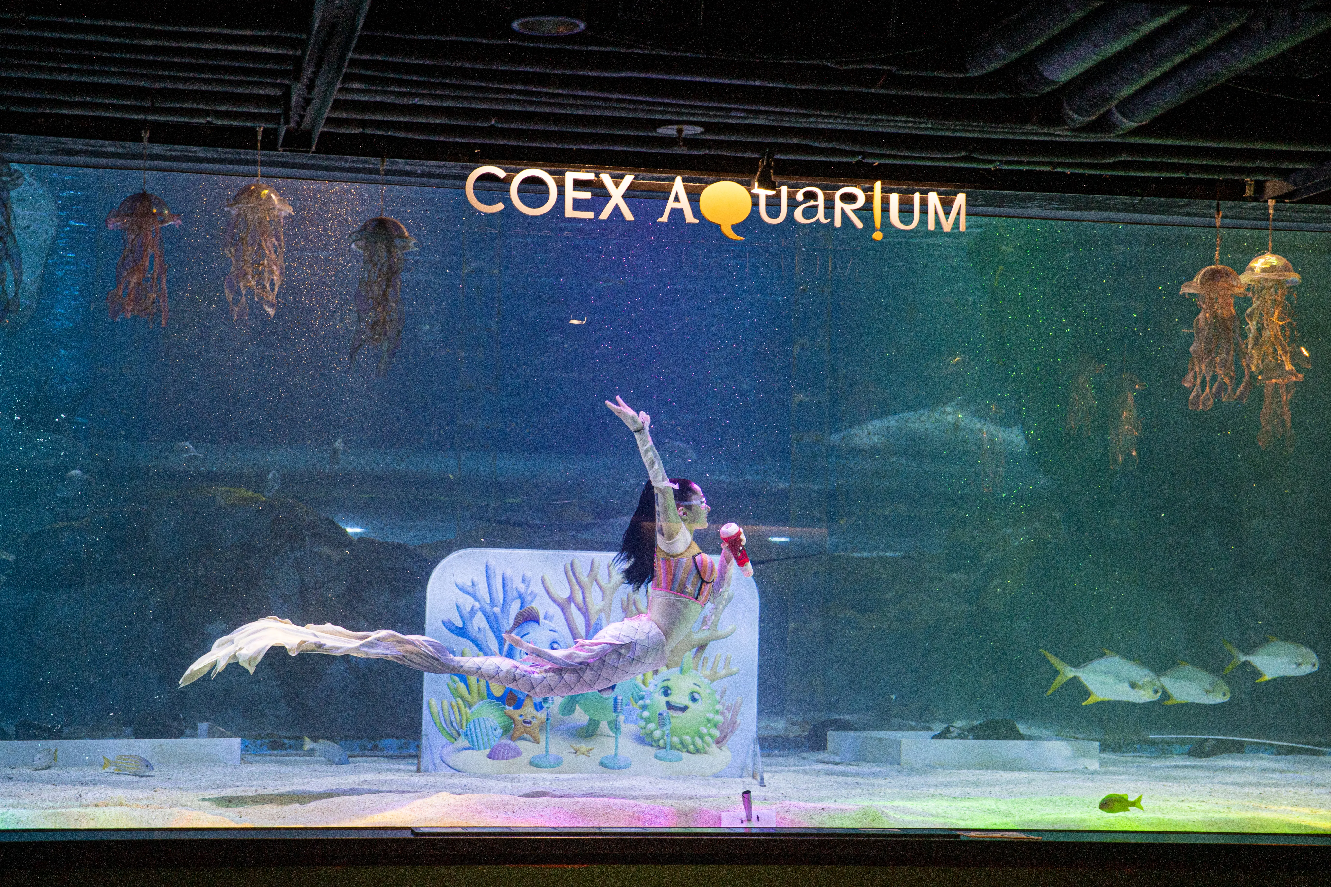 코엑스아쿠아리움162