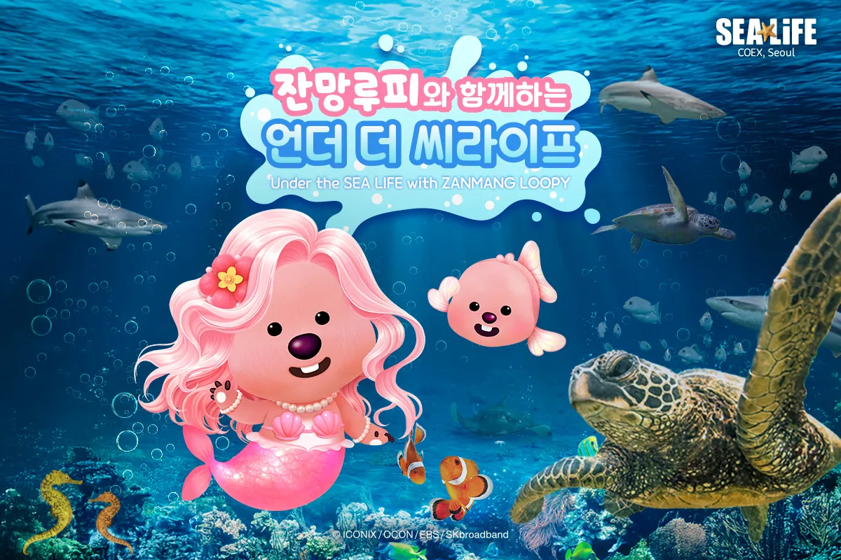 Kakaotalk 20260507 110554385 01