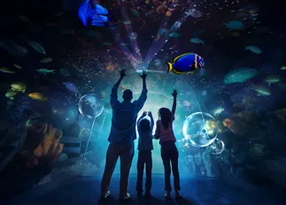 STORY COEX AQUARIUM Golden Ticket Campaigncr COEX ACQ OR Maycampaignstatic P2 9X16 ICN KOR Copia 2