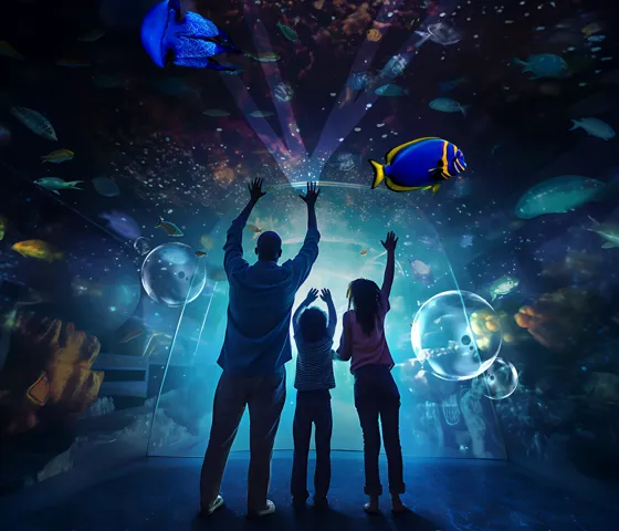 STORY COEX AQUARIUM Golden Ticket Campaigncr COEX ACQ OR Maycampaignstatic P2 9X16 ICN KOR Copia 2