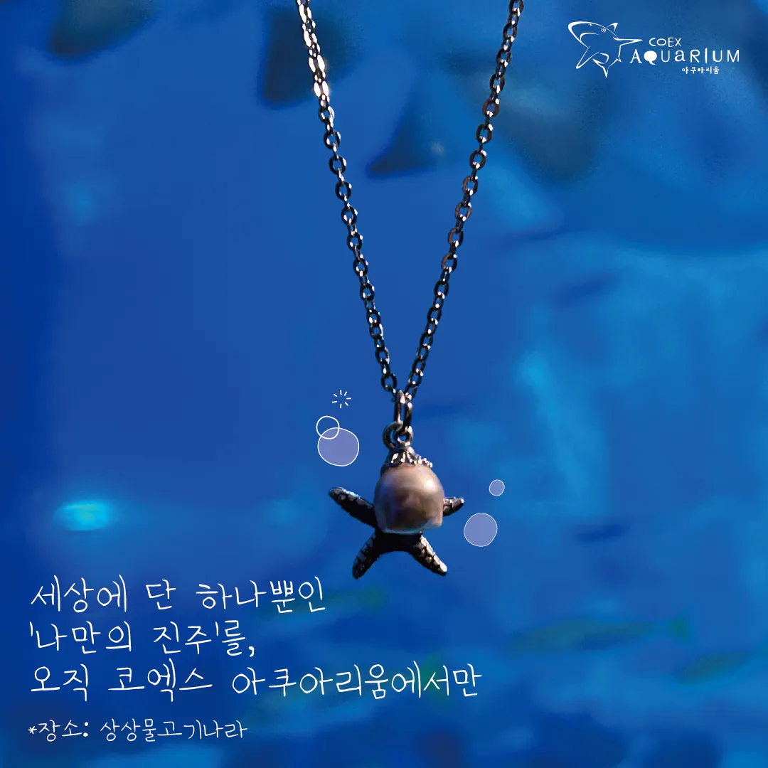 2진주1@1080X 100