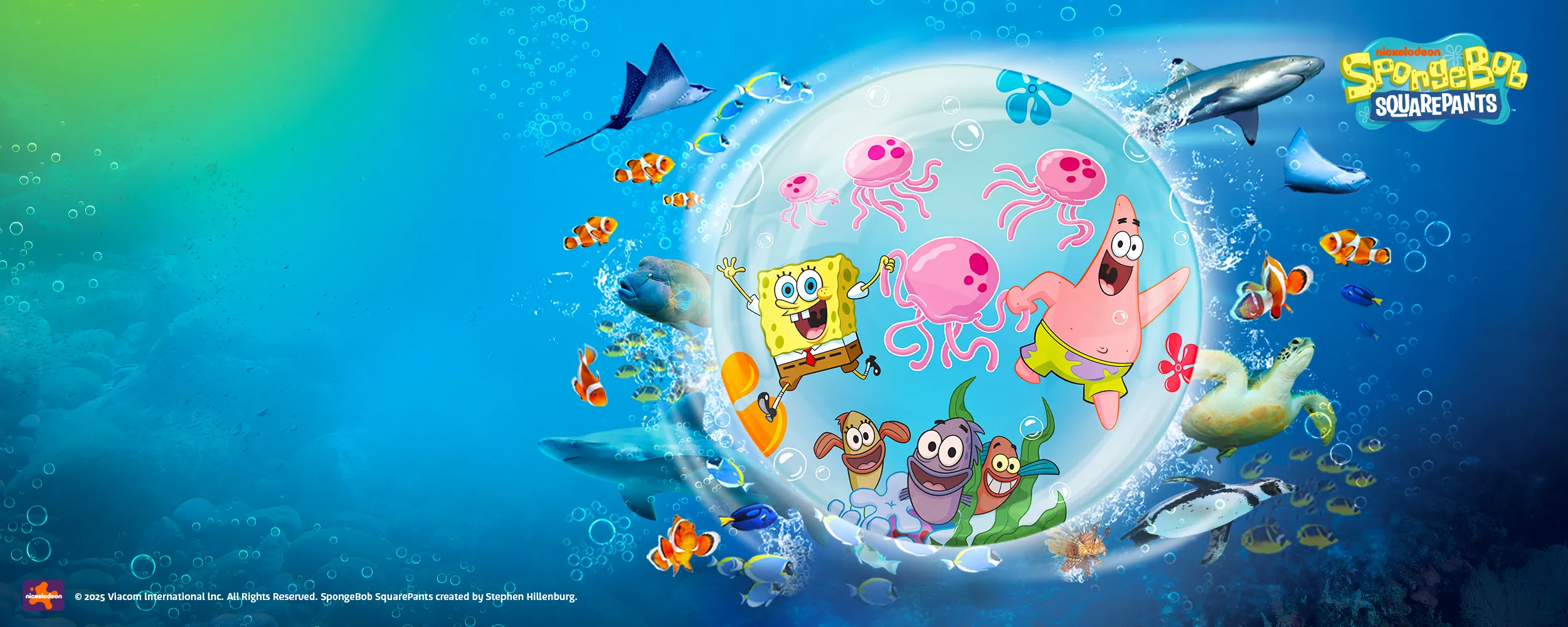 씨라이프 로고 없음