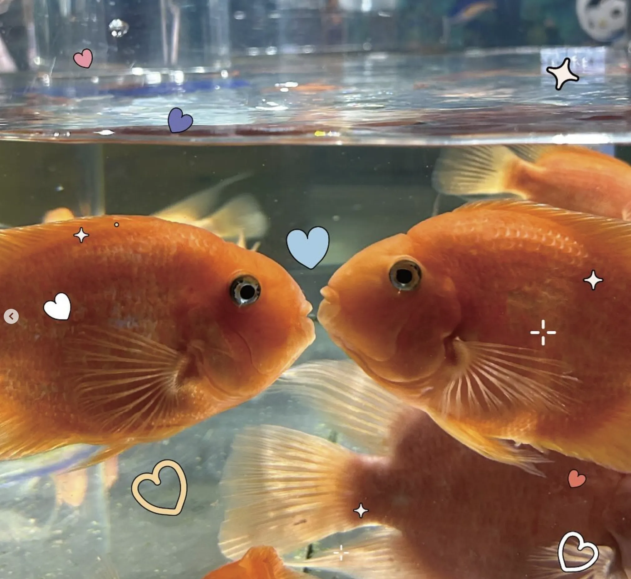 스크린샷 2024 08 23 오전 9.02.02