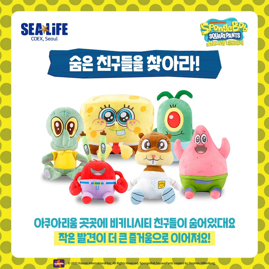 SBSP 카드뉴스 04 인형찾기