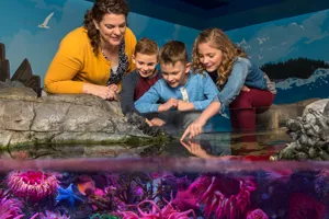 Touchpool 7 5 | SEA LIFE Aquarium