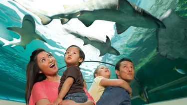 Food | SEA LIFE Aquarium