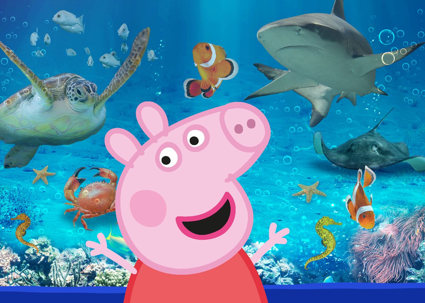 Image With Text SEA LIFE Peppa Pig 2
