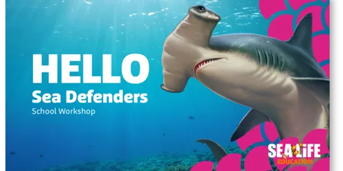 Sea Defenders Workshop Web Tile