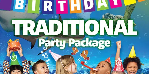 Traditional Package Webtile Accesso 2024 Flat Copy
