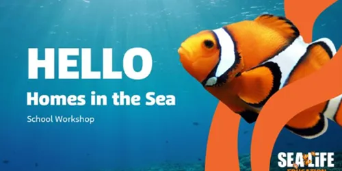 Homes In The Sea Workshop Web Tile