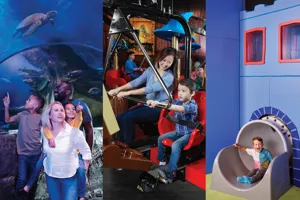 Collage showcasing all 3 Dallas attractions