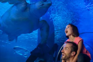 Membership | SEA LIFE Aquarium