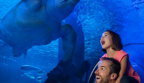 Membership | SEA LIFE Aquarium