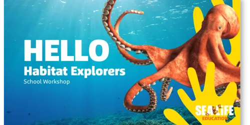 Habitat Explorers Workshop Web Tile