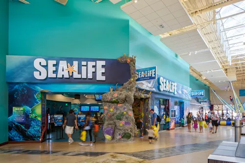 SEA LIFE Aquarium at the Grapevine Mills Mall