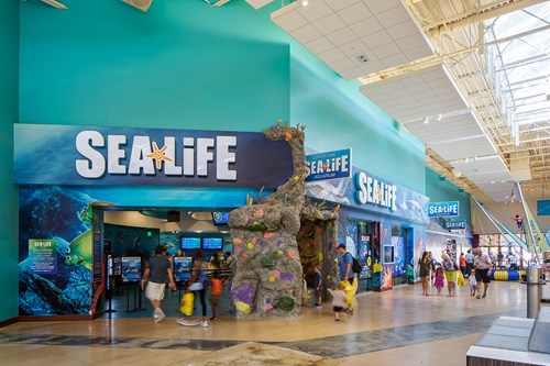 SEA LIFE Aquarium at the Grapevine Mills Mall