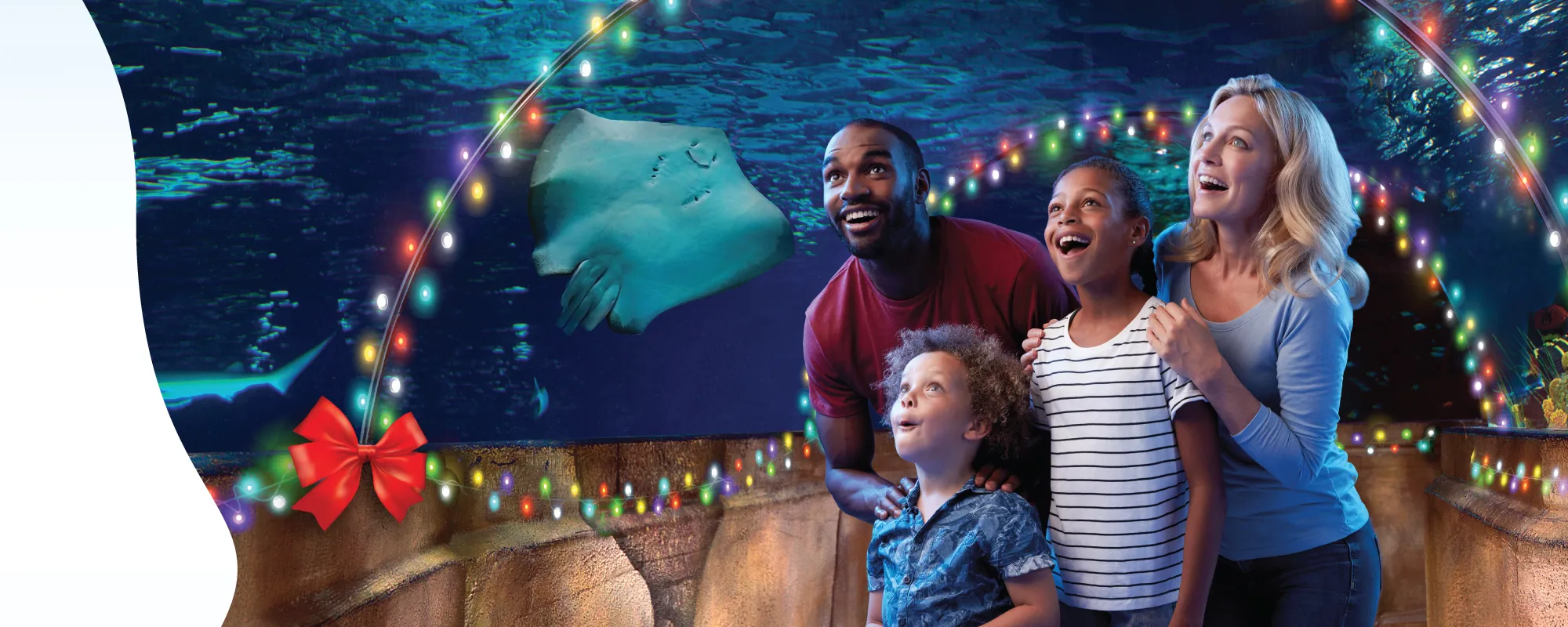 SEA LIFE Aquarium Grapevine Mills | SEA LIFE Dallas Aquarium