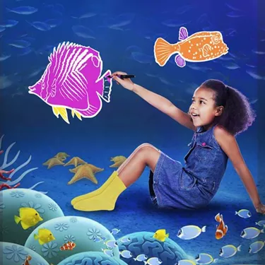 Doddle Reef | SEA LIFE Aquarium