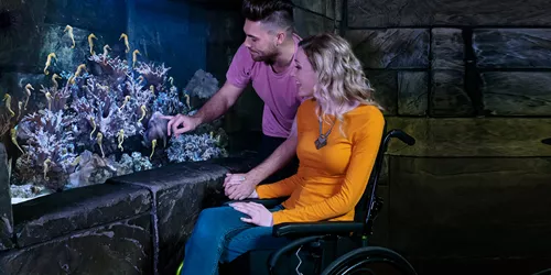 Handicap | SEA LIFE Aquarium