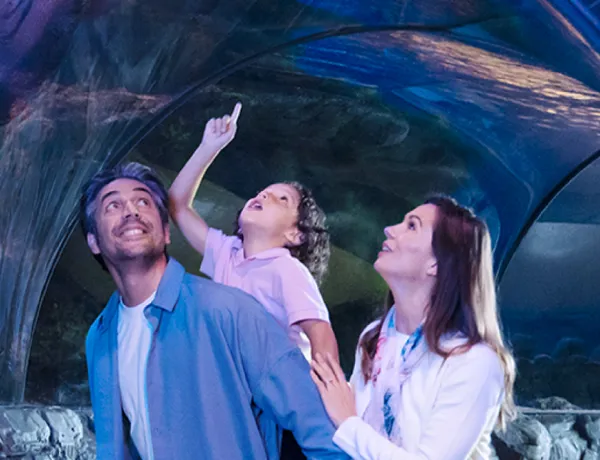 Ocean Tunnel People 5 2 | SEA LIFE Aquarium