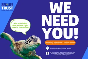 Beach Clean CMS Event Page
