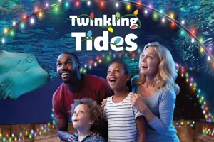 Twinkling Tides Holiday Event