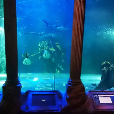 Ocean Tank
