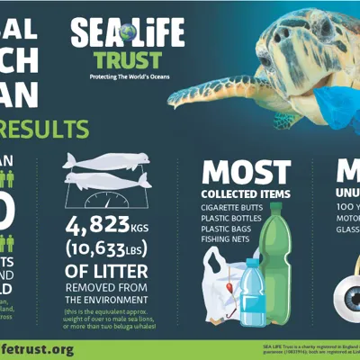 Beach Clean 2022