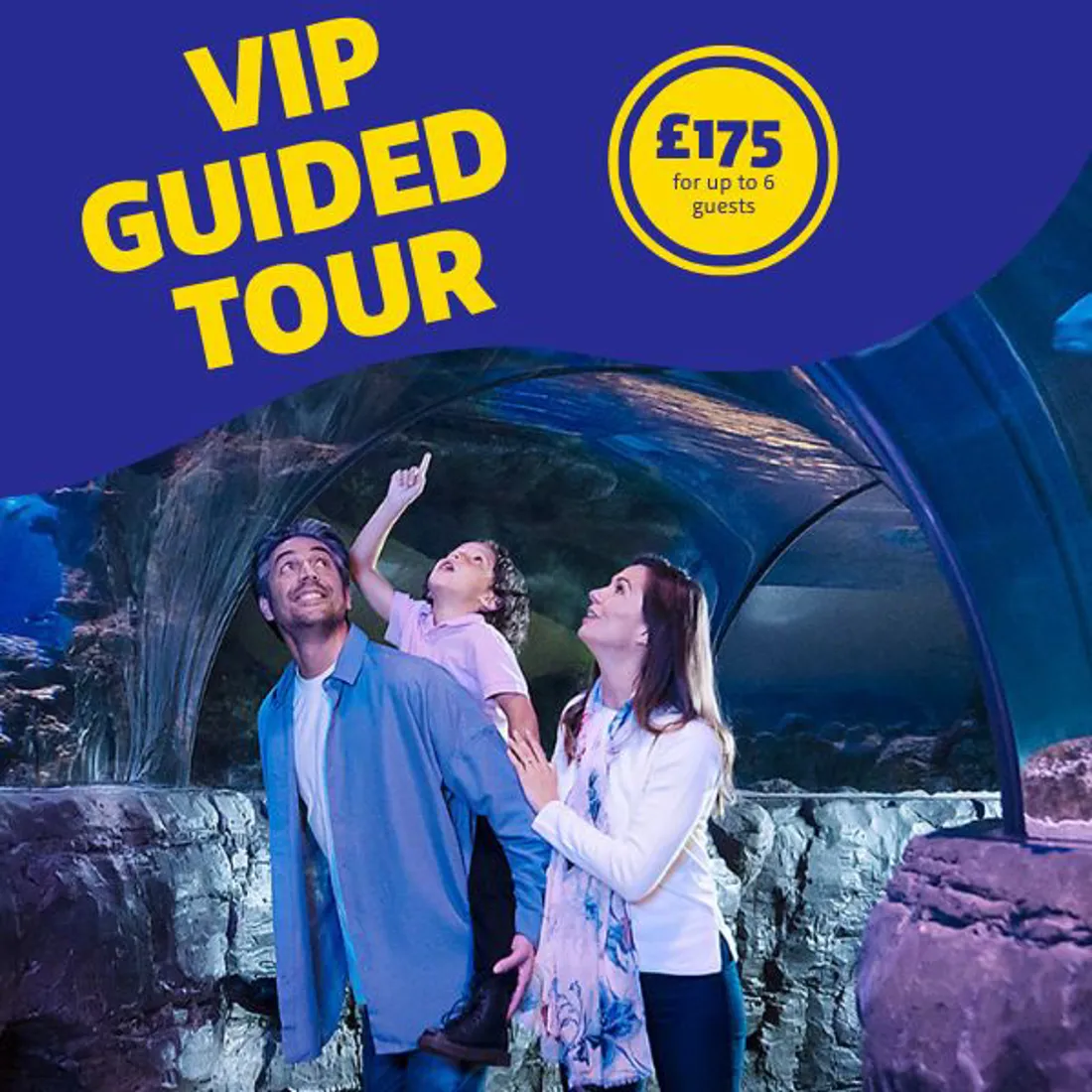 VIP Guided Tour | SEA LIFE Great Yarmouth