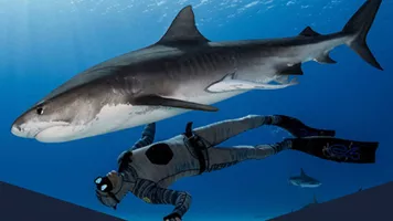 Shark Dive VR Experience at SEA LIFE Great Yarmouth