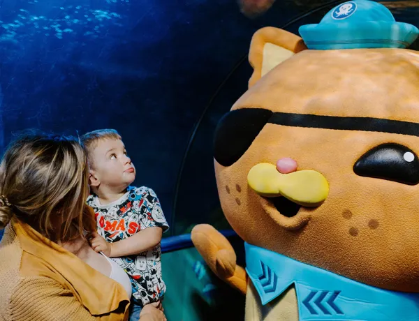 Octonauts Lifestyle Shot