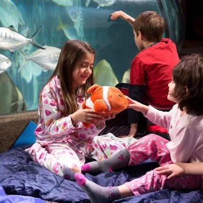 Sleepover
