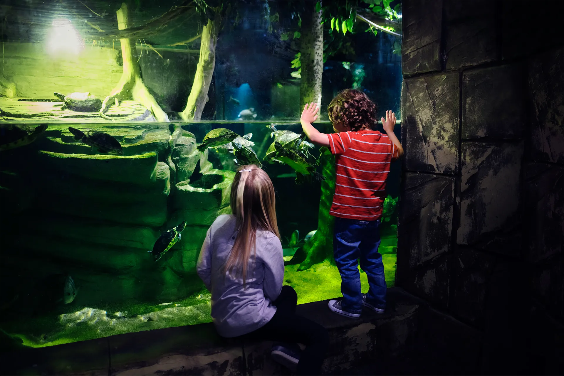 Children At Turtle Tank