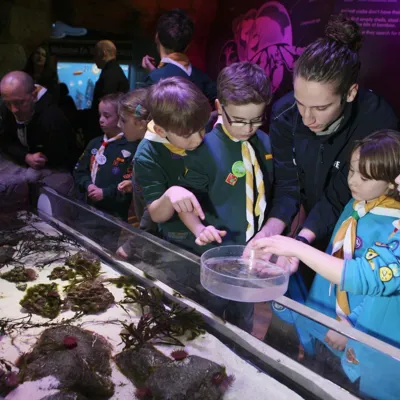 Touchpool experience