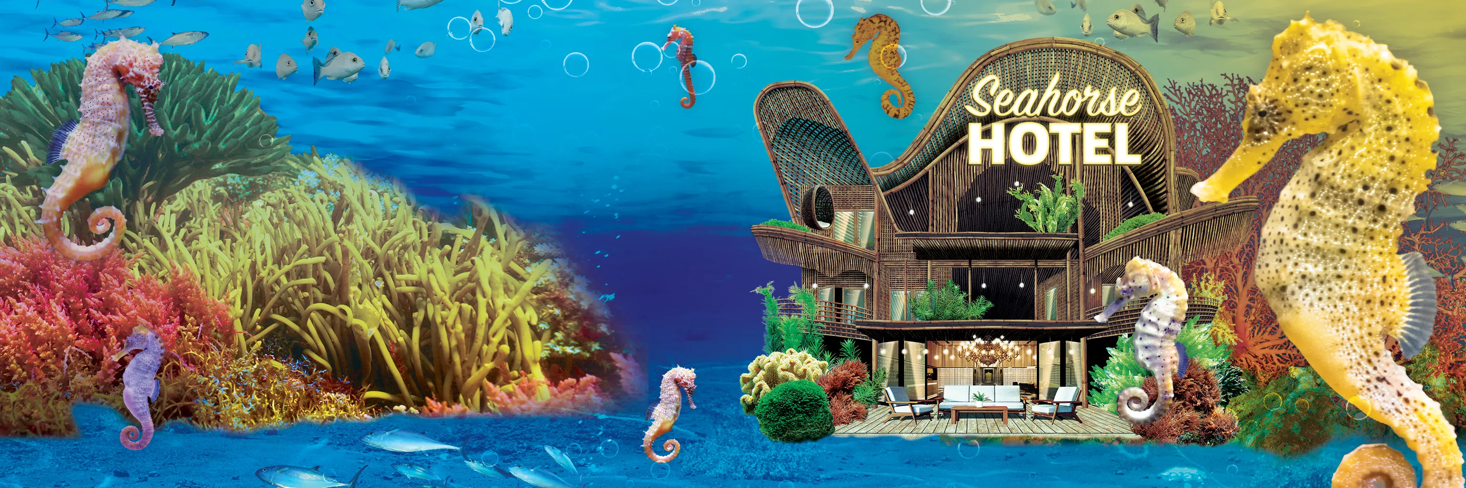 SEALIFE SEAHORSES Event Page Header 3000X1000px