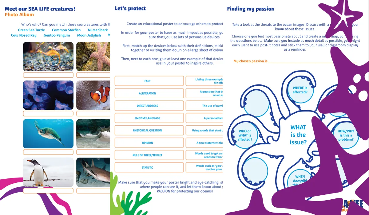 SEA LIFE Schools Image V4 1200X700