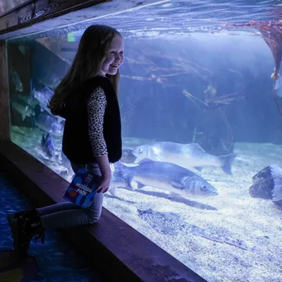 Child At Gt Yarmouth