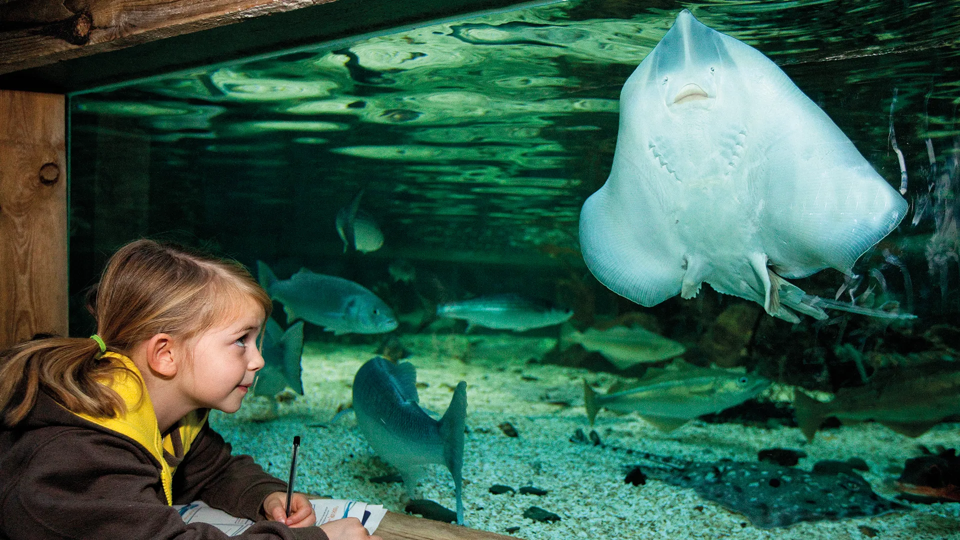 Girl And Stringray